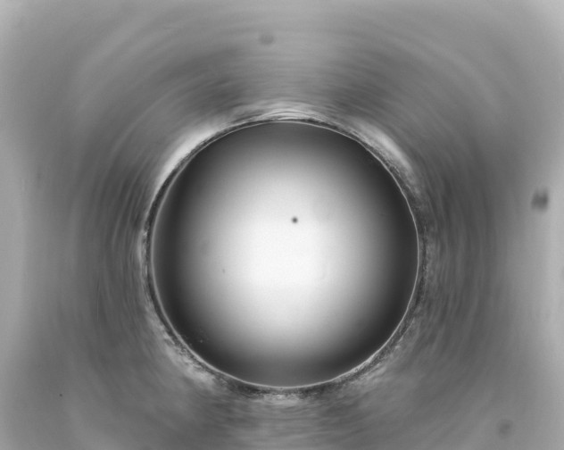 X0000094231190200711021155