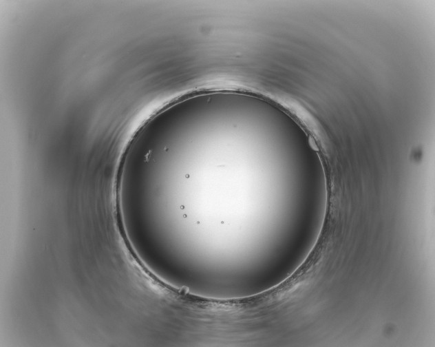 X0000094231191200711021155