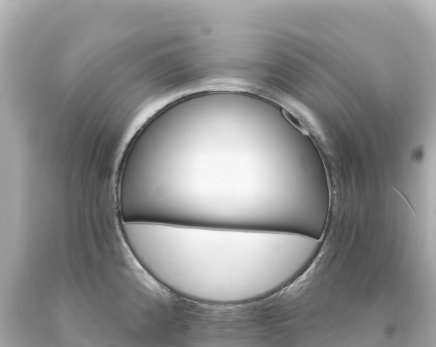 X0000094231192200711021155