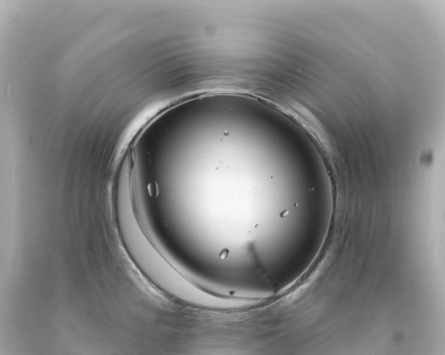 X0000094231196200711021155