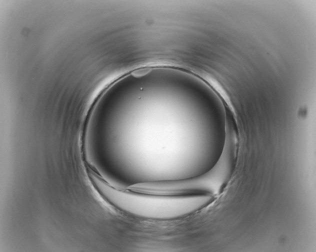 X0000094231197200711021155