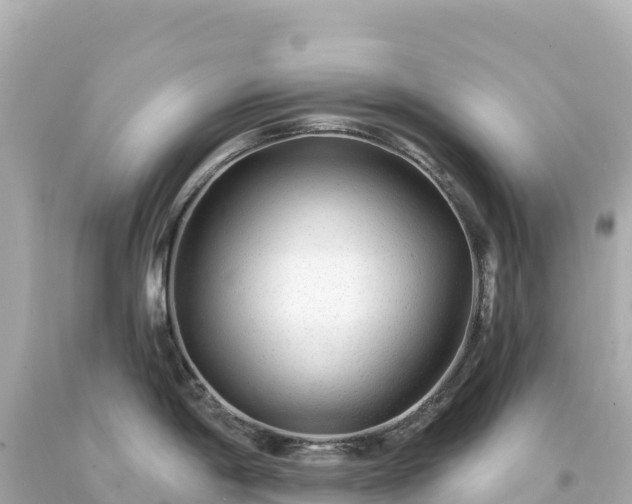 X0000094231198200711021155