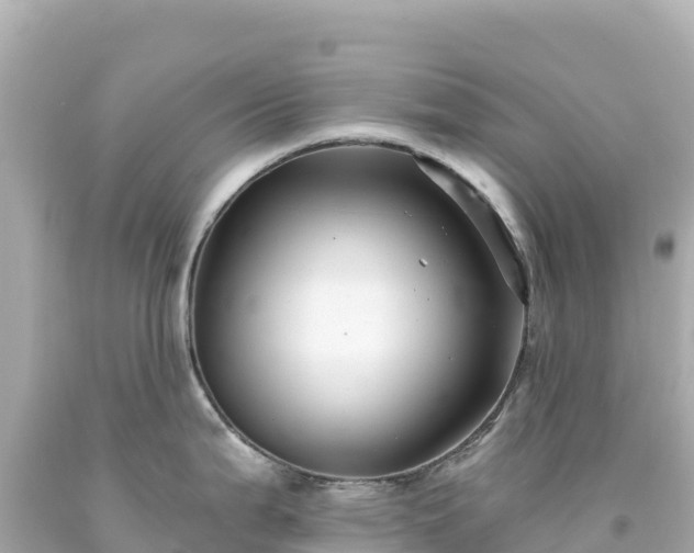 X0000094231199200711021155