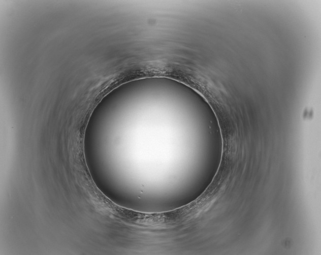 X0000094231201200711021154