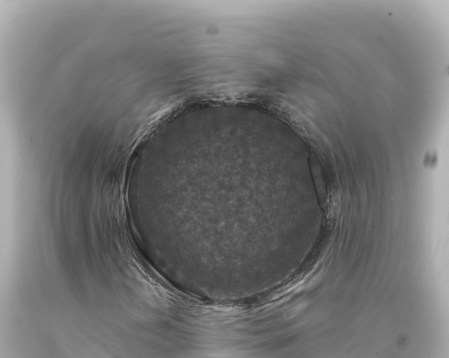 X0000094231202200711021154