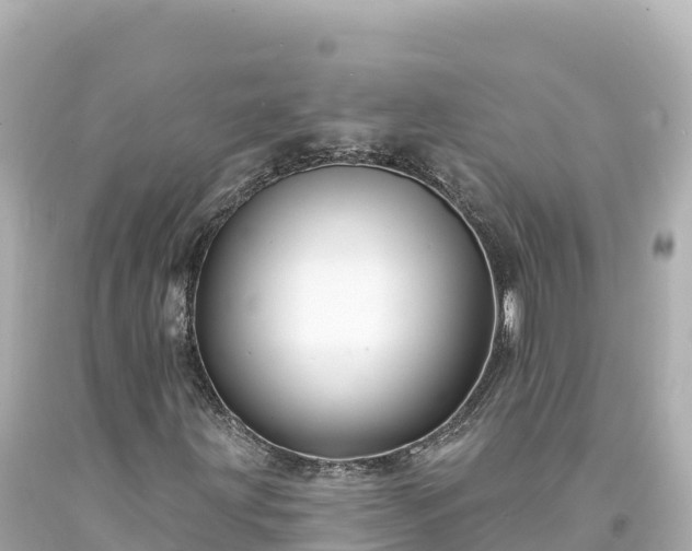 X0000094231203200711021154