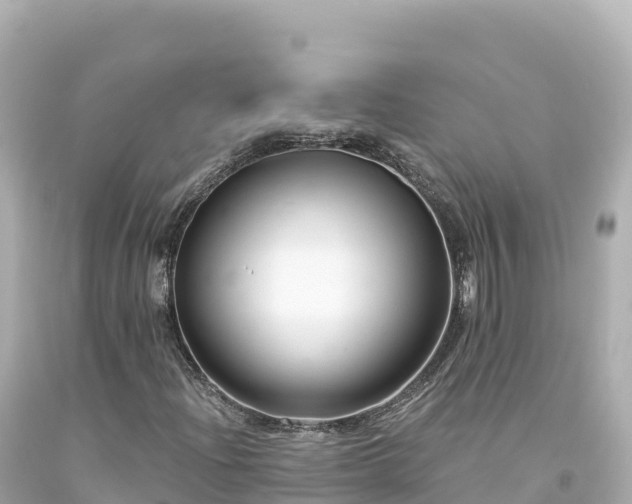 X0000094231204200711021154