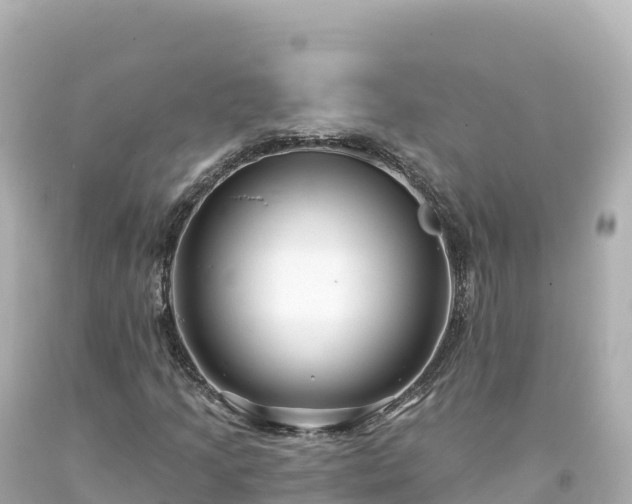 X0000094231205200711021154