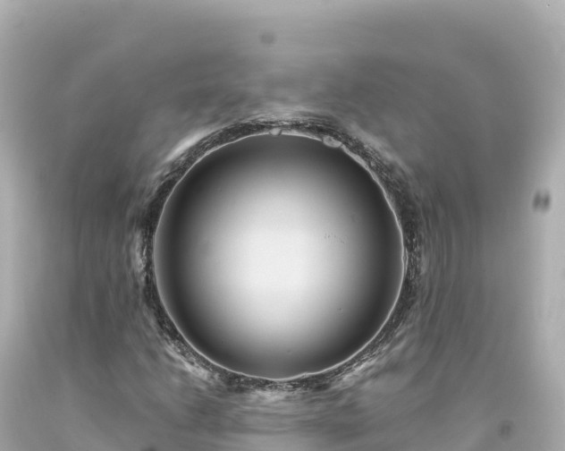 X0000094231206200711021154