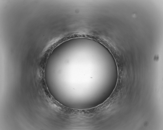 X0000094231207200711021154