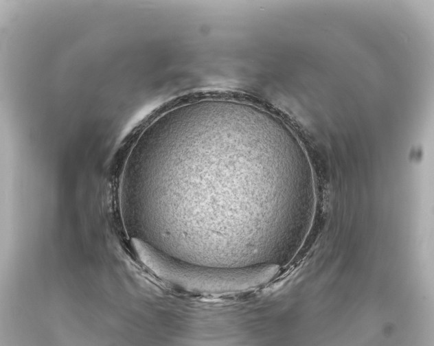 X0000094231208200711021154