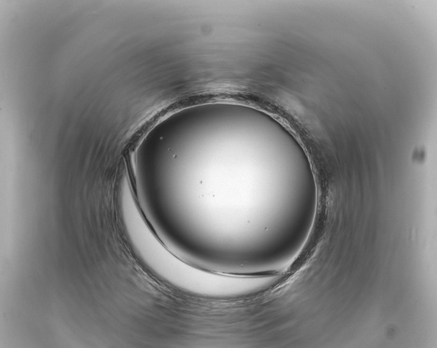 X0000094231209200711021154