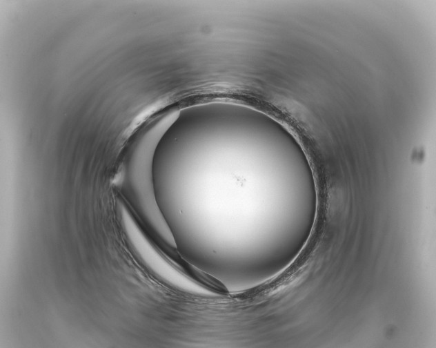 X0000094231210200711021155