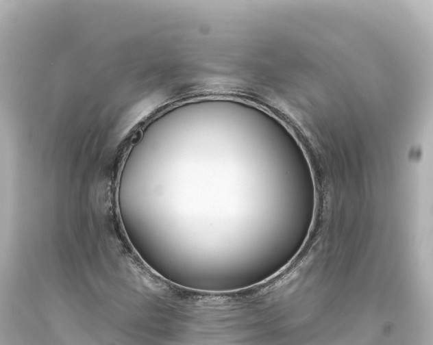 X0000094231211200711021155