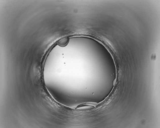 X0000094231212200711021155