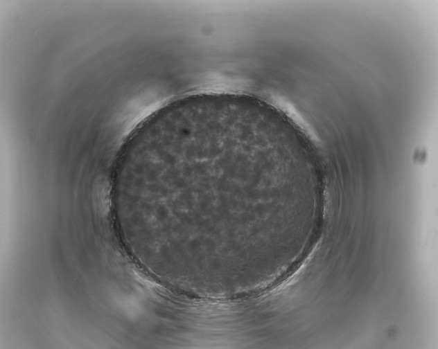 X0000094231213200711021155