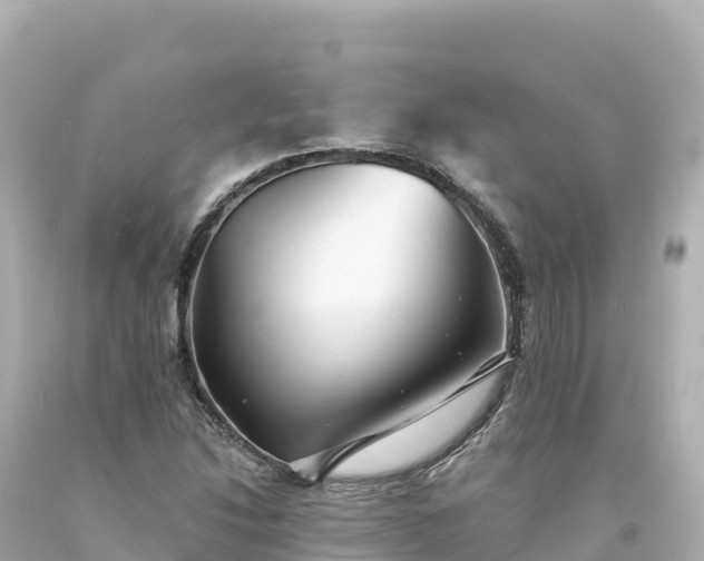 X0000094231214200711021155