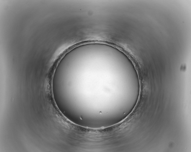 X0000094231215200711021155