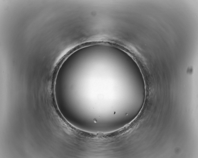 X0000094231216200711021155