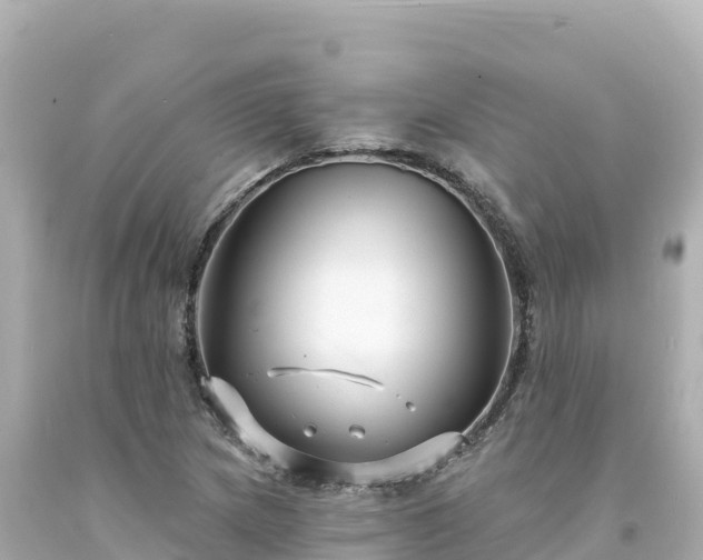 X0000094231217200711021155