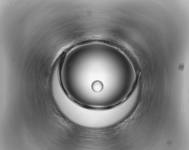 X0000094231218200711021155