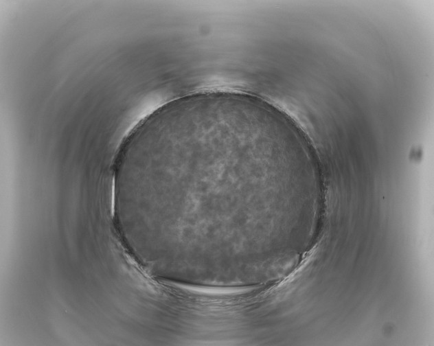 X0000094231219200711021155