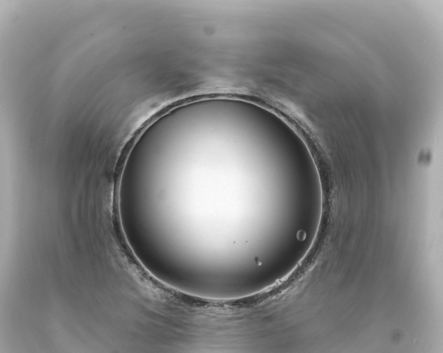 X0000094231220200711021155