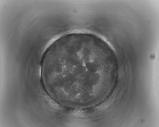 X0000094231221200711021155