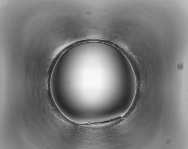 X0000094231222200711021155