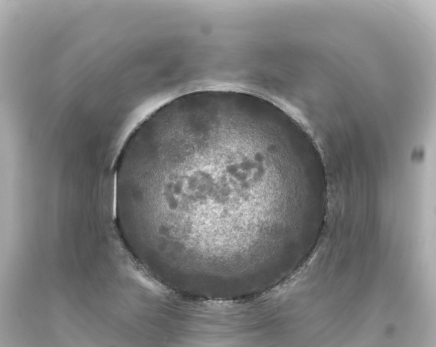 X0000094231223200711021155