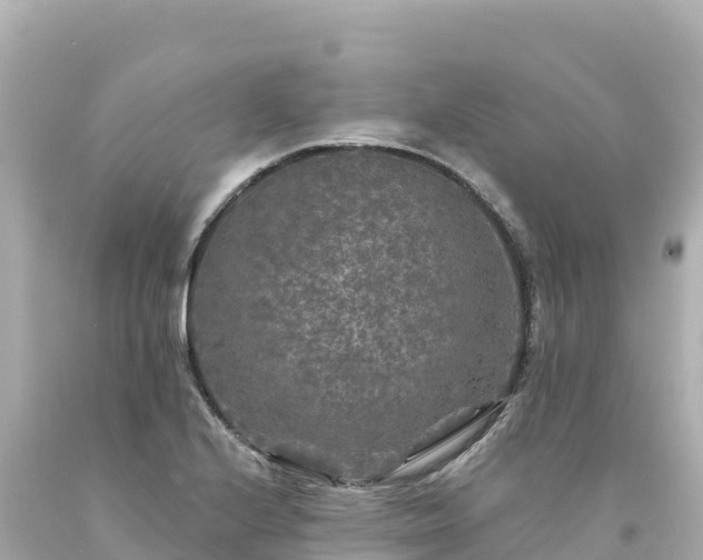 X0000094231224200711021155