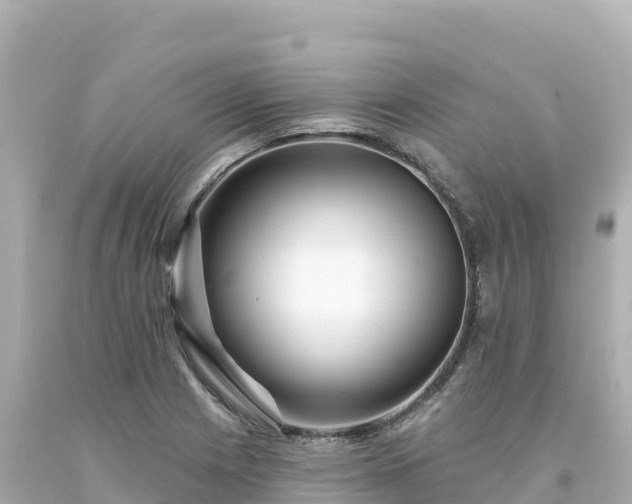 X0000094231225200711021155