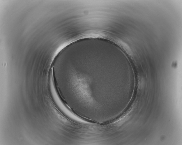 X0000094231226200711021155