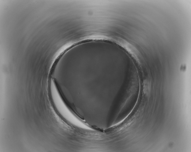 X0000094231229200711021155