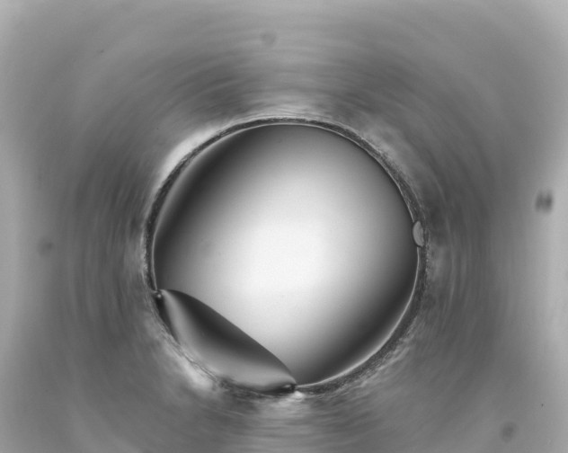 X0000094231230200711021155