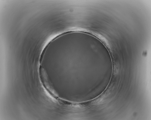 X0000094231231200711021155