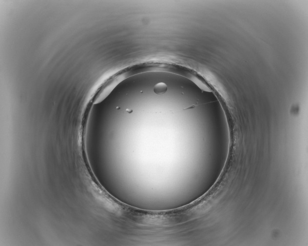 X0000094231232200711021155