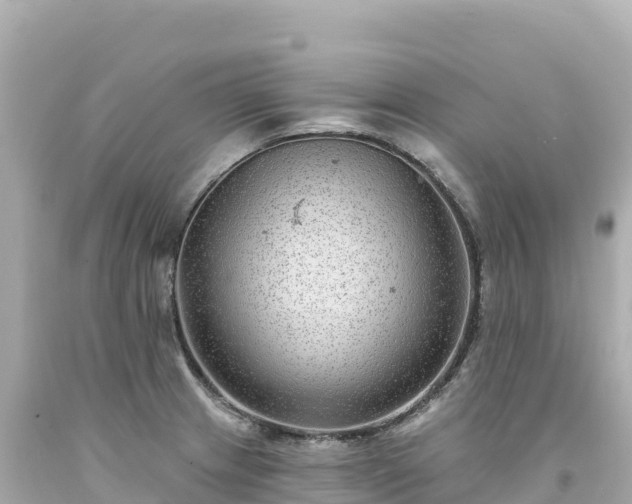 X0000094231233200711021155