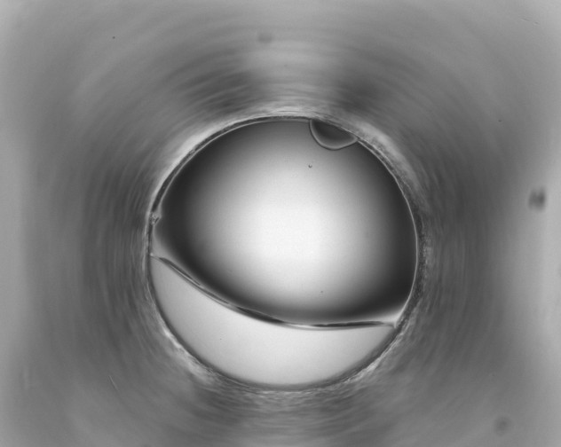 X0000094231236200711021155