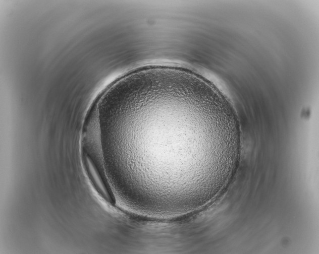 X0000094231237200711021155