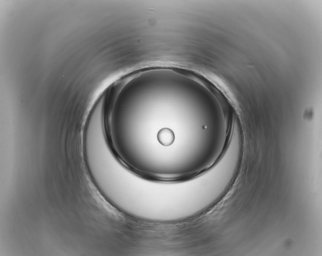 X0000094231238200711021155