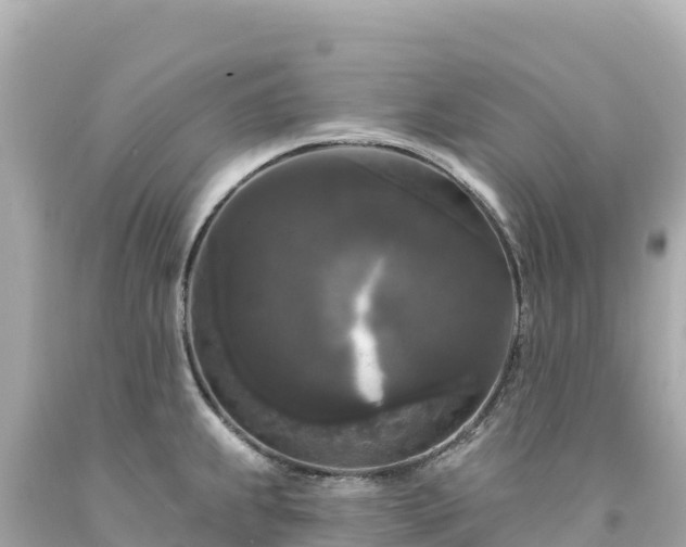 X0000094231239200711021155