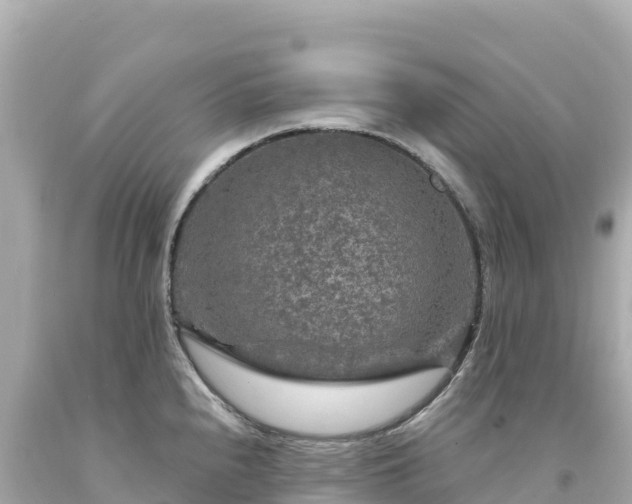 X0000094231240200711021155