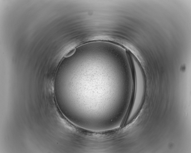 X0000094231241200711021155