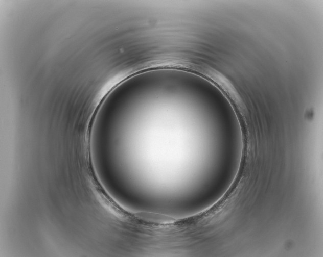 X0000094231242200711021155