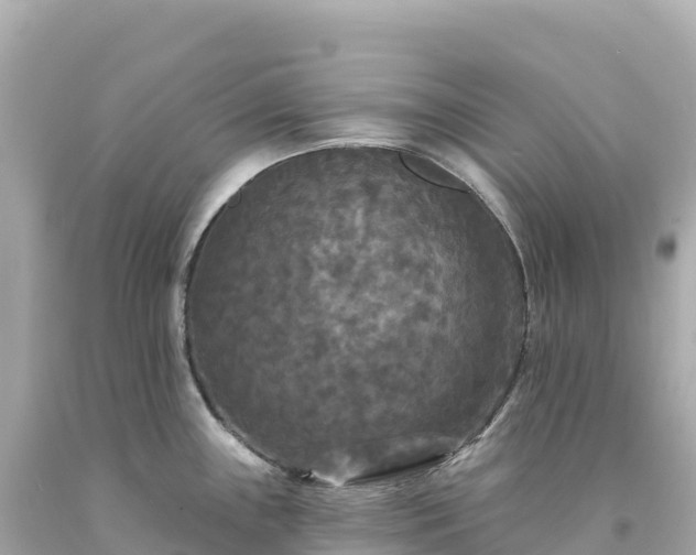 X0000094231243200711021155