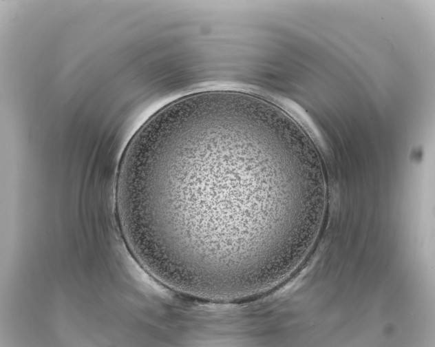 X0000094231244200711021155