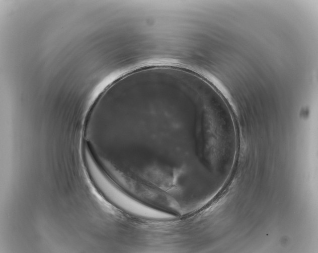 X0000094231245200711021155