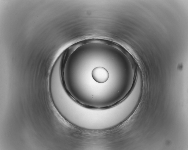 X0000094231246200711021155