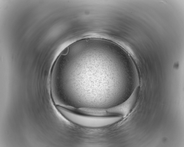 X0000094231247200711021155